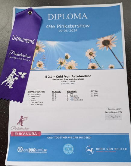 19-5-2024 Pinkstershow Gorinchem.