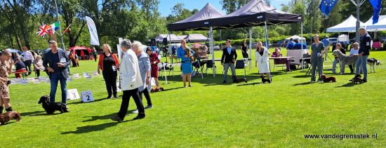 9-6-2024 Dogshow Eindhoven Inge en Coki opstellen voor de erering