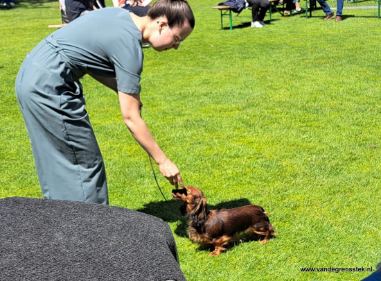 9-6-2024 Dogshow Eindhoven Inge en Tina