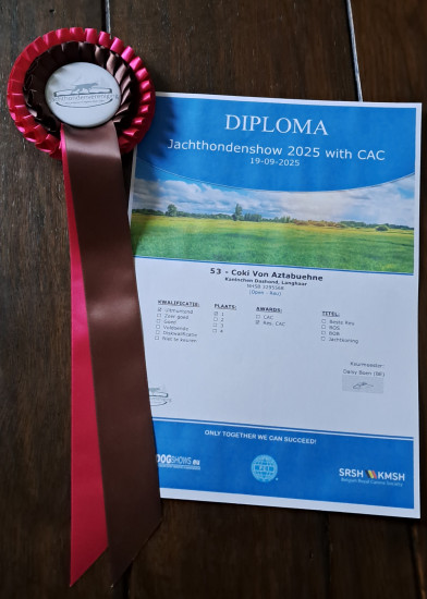 19-9-2025 Grobbendonk (Be)  Jachthondenshow 2025  Diploma
