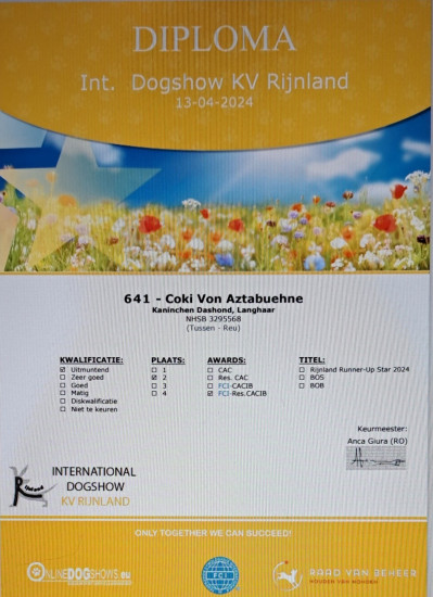 13-4-2024 Certificaat Int.  dogshow Rijnland