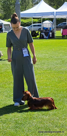 9-6-2024 Dogshow Eindhoven Inge en Coki