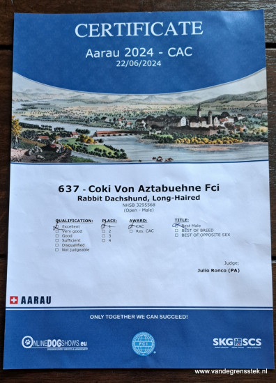 22-6-2024 Coki in  Aarau, Zwitserland.