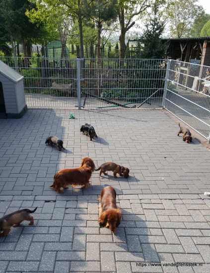 1-5-2019 Lekker buiten spelen.