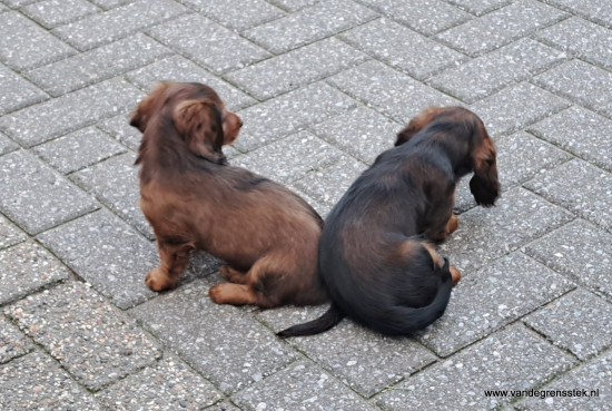 Bijna tijd om afscheid te nemen